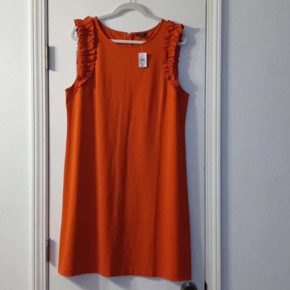 COPY - Ann Taylor dress